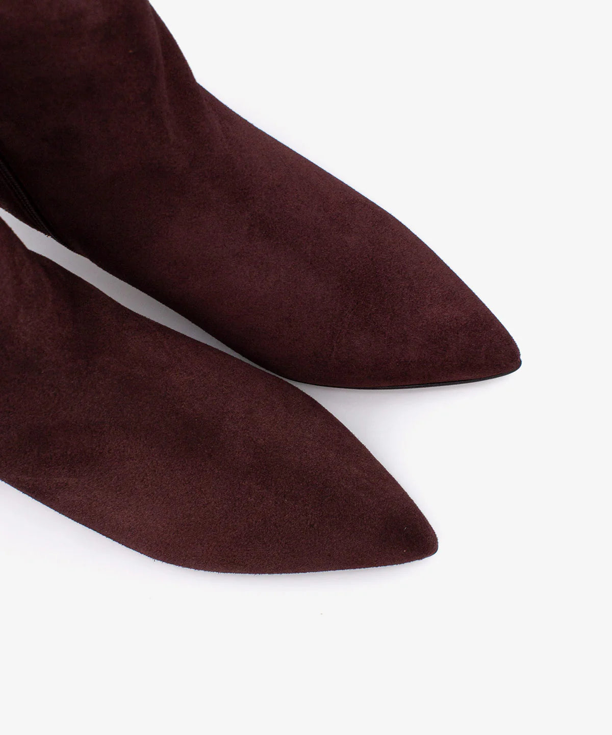 ESTRA ÁNGEL ALARCÓN